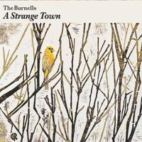 A Strange Town by The Burnells