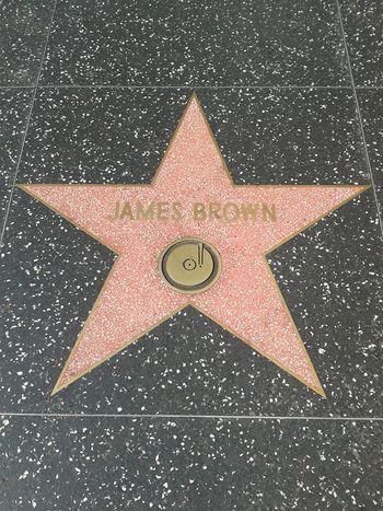 "The Godfather of Soul"
