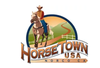 Wumbloozo Live at Horse Town Brew N' Que Festival