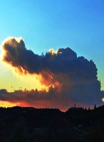 Fla. gator cloud
