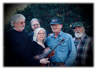 STILLGRASS LIVE !