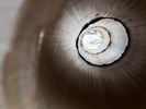 "1" TEPONAZTLI Bamboo Log Drum "No Designs" MADE to ORDER