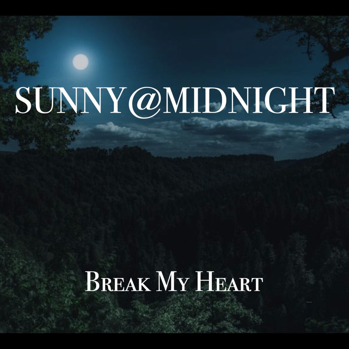 Break My Heart - CD