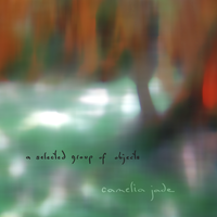a selected group of objects by Camelia Jade