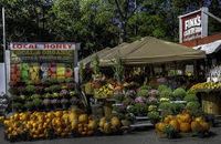 Fink's Farm
