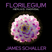 Merlin's Madrigal by James Schaller