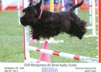 See Willie fly!
