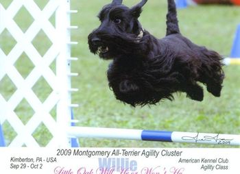 Willie in action at Montgomery
