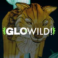 JACOB FLORES Live @ GloWild (LITTLE ROCK, AR)