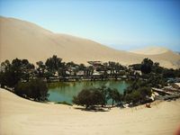 Worship at the Oasis!