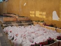 Dry Food Distribution Outreach Center