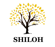Lev Shelo Sukkot Concert