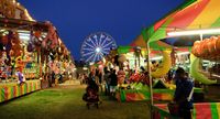 Fulton Co 4H free fair