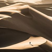 THE ONLY WALK by DEN E LEE