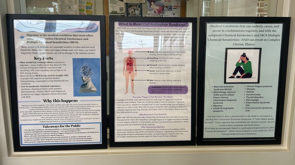 Exhibition information at The Plains Library