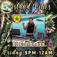 Island Vibes Party