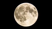 Full Moon Pop Up DJ Party