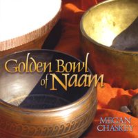 Golden Bowl of Naam by Megan Chaskey