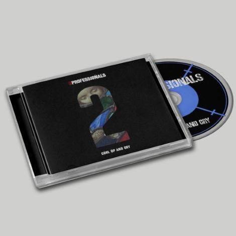 The Professionals Band - Downloads