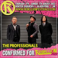 The Professionals Live