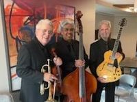 Private Wedding: Nuance Trio