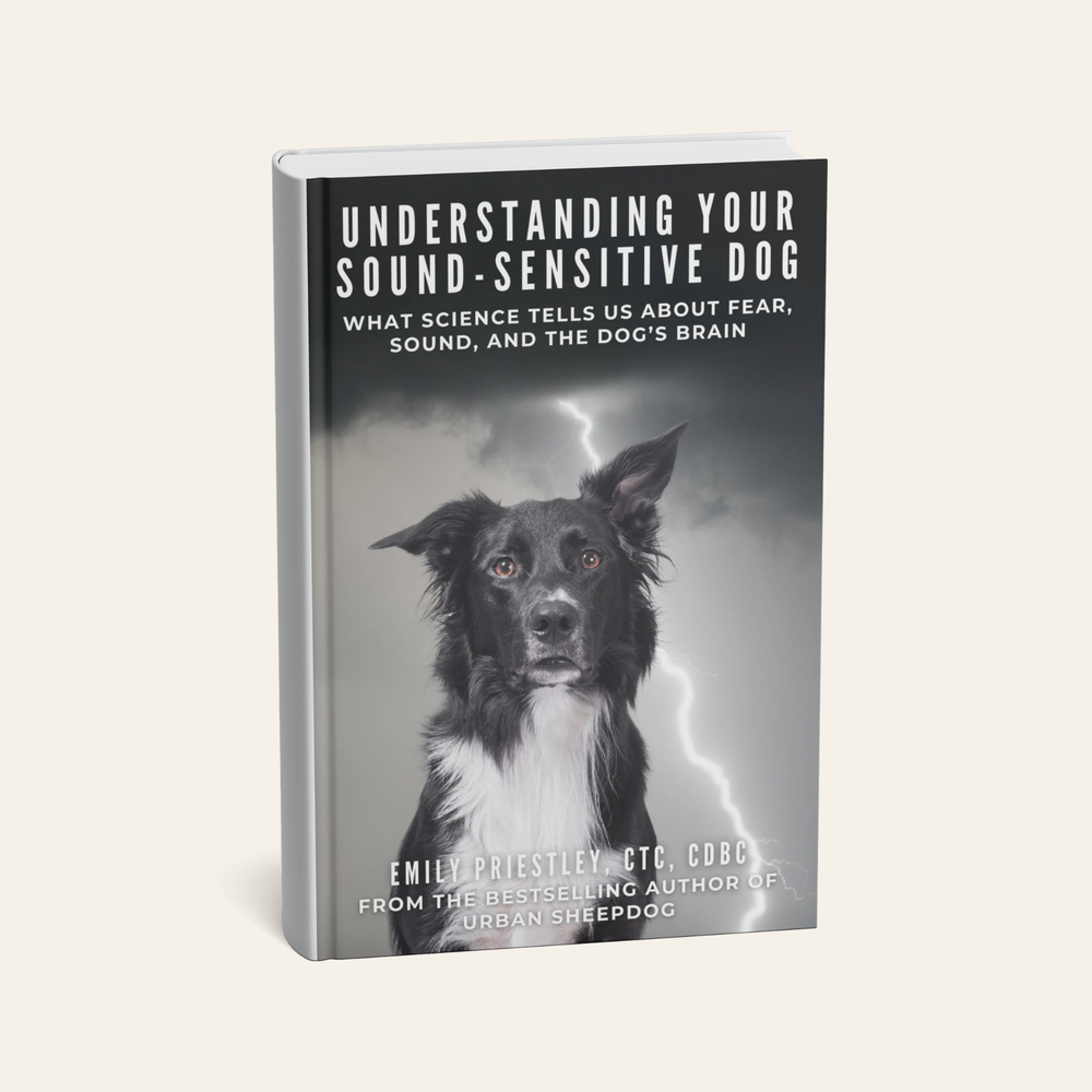 Understanding Your Sound-Sensitive Dog