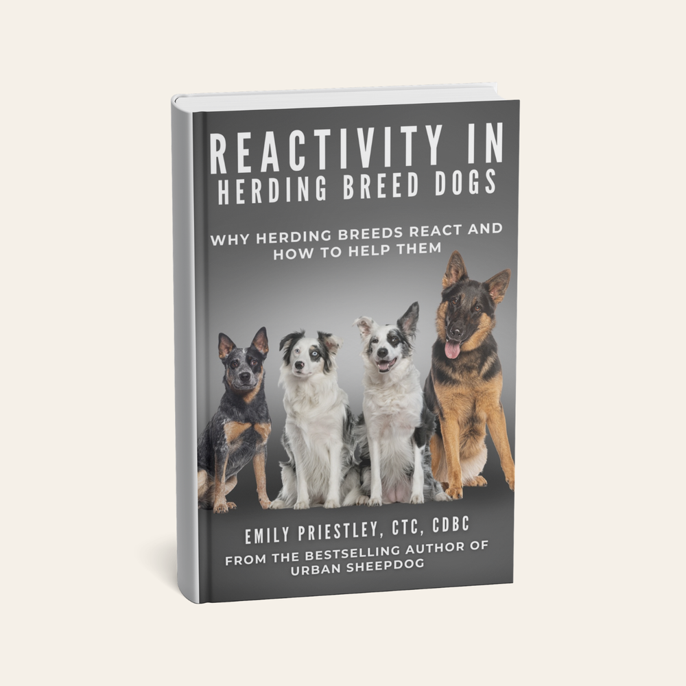 Reactivity in Herding Breed Dogs