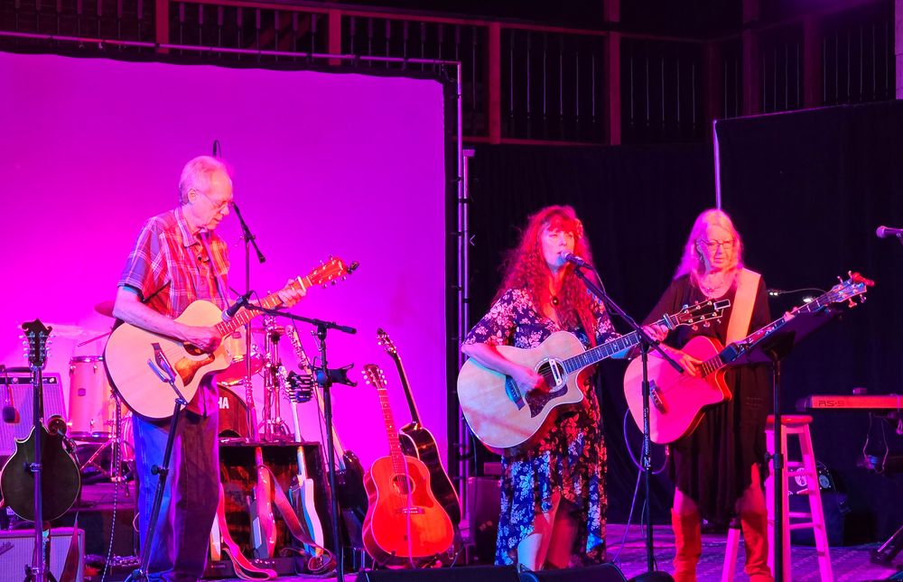 Heather Richards performing live on stage with fellow musicians during an acoustic performance under purple concert lighting.