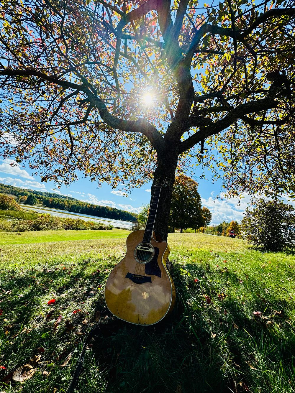 Acoustic guitar resting beneath a large tree overlooking a lake in the Adirondack Mountains, a favorite songwriting spot for Heather Richards