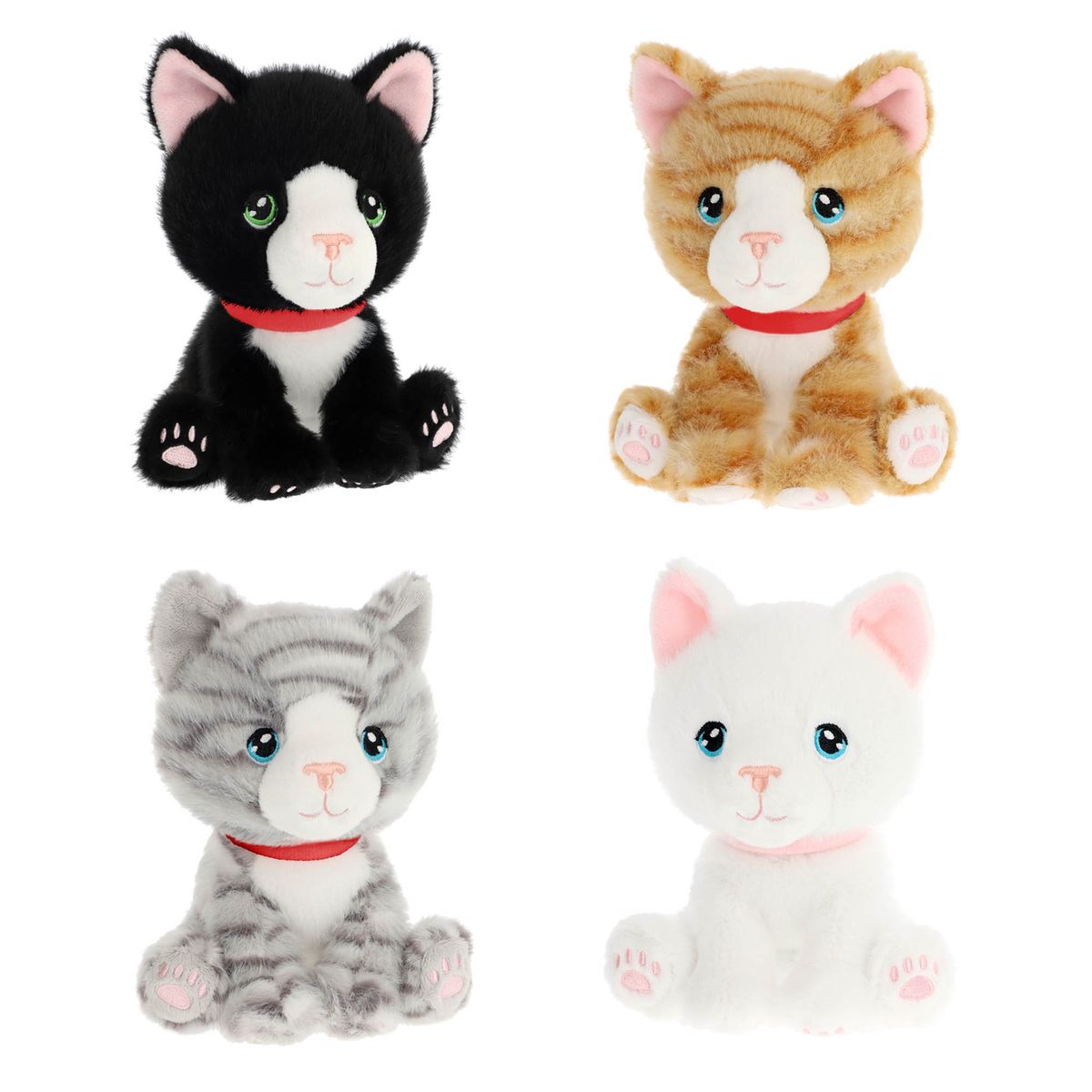 Bardykes Kittens (Choose from 4 colours) 