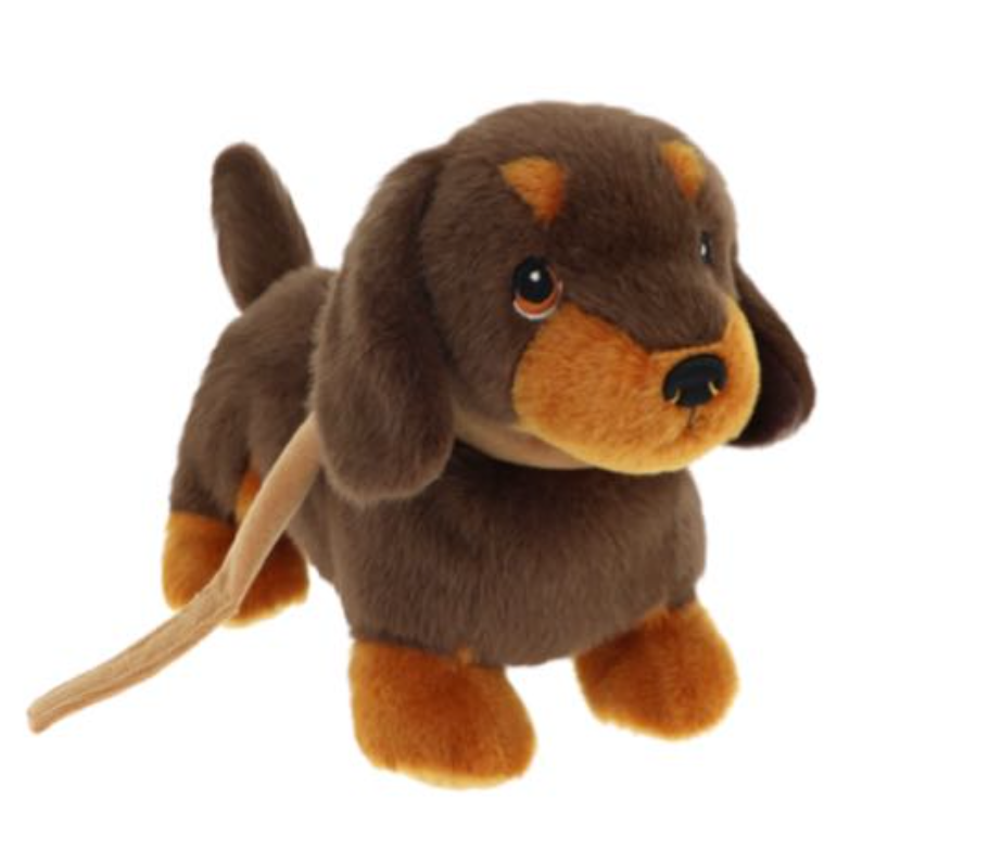 Dachshund on Lead 