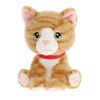 Bardykes Kittens (Choose from 4 colours) 