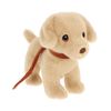 Golden Puppy on a Lead