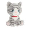 Bardykes Kittens (Choose from 4 colours) 