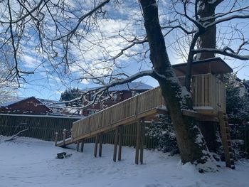 Our Tree House
