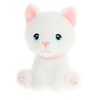 Bardykes Kittens (Choose from 4 colours) 
