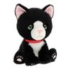 Bardykes Kittens (Choose from 4 colours) 