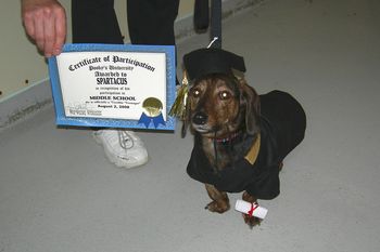 Dachsund X
