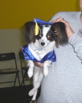 Papillion
