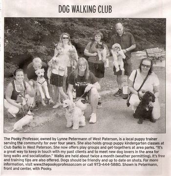 Our Dog Walking Club is all the Buzz!
