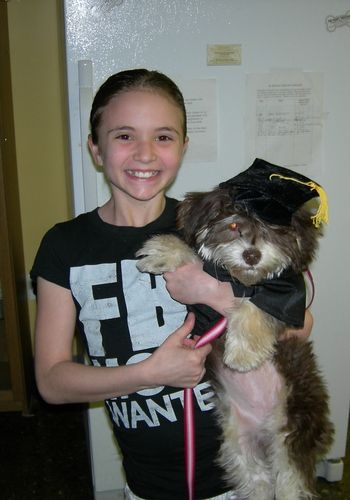 Lhasa-Poo
