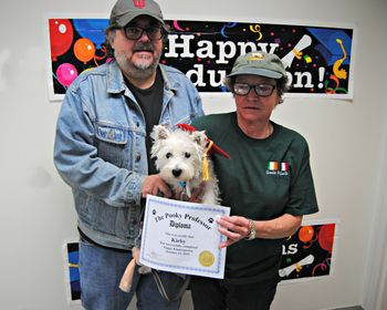 Westie
