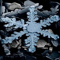 Frozen by FreedomAndForgiven & Kevin