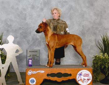 GI Jane, a Ra daughter, major win at 7 months

