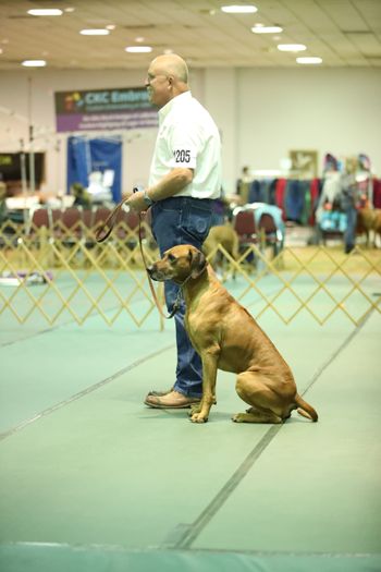 Ra & Mark in obedience
