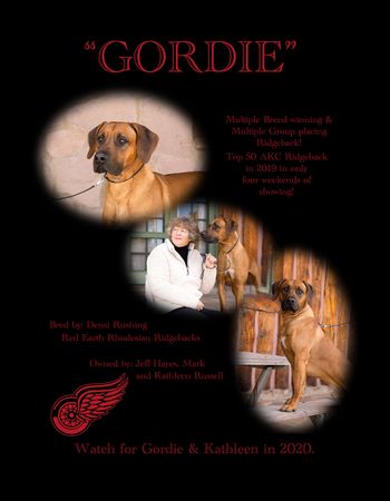 Gordie's Ad 2020
