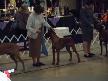 Group Ring after winning BOB day 3 at Garden City, KS - March 2011
