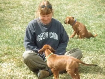 Puppies with Aunt Kathy in CO - March 2012
