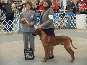 BOB win - day 2 - Garden City, KS - Judge Mrs. Patricia Trotter - March 2011
