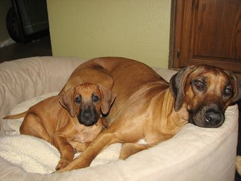 Samara with her new best friend Raynie. April 2012
